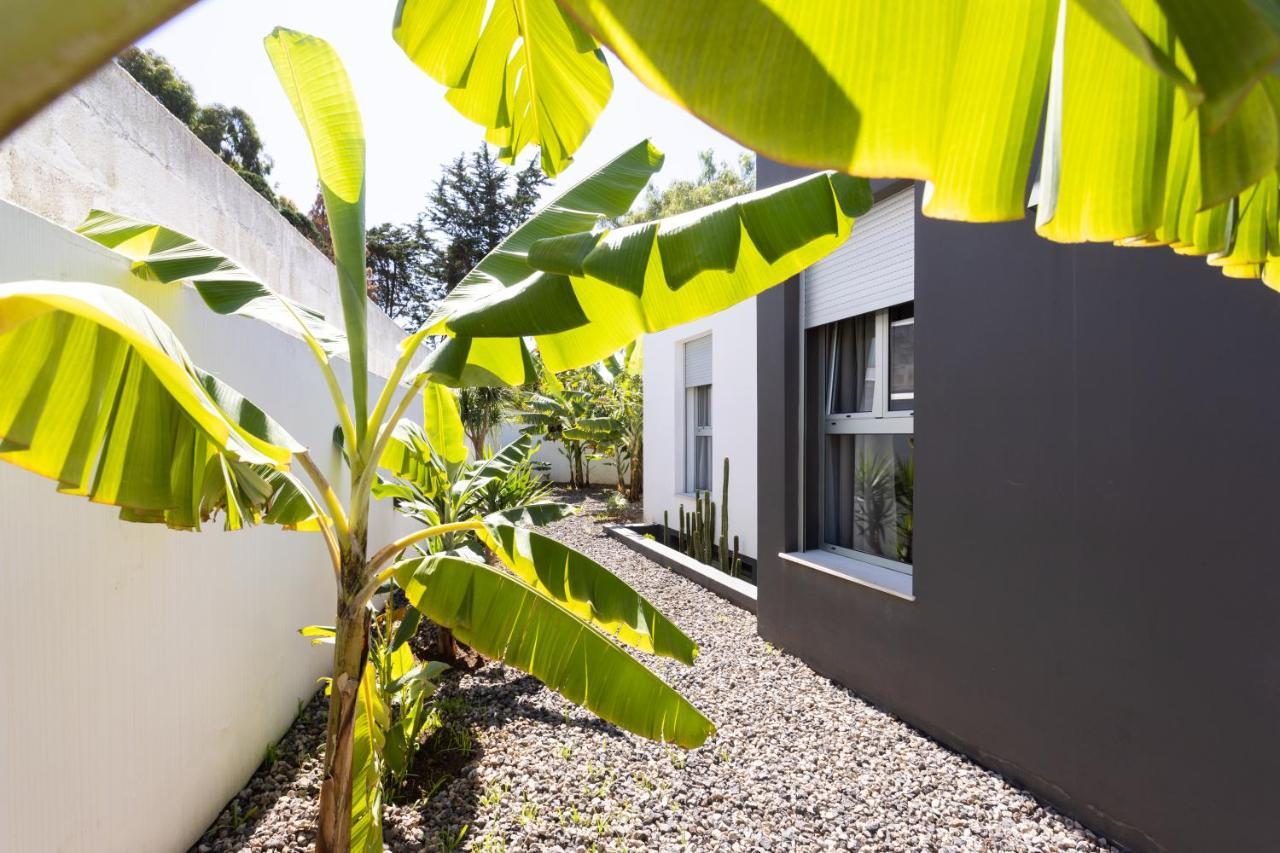 Home2Book Amazing Santa Úrsula, Sea Views&Terrace Exterior foto